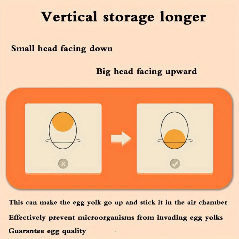 Double Layer Refrigerator Egg Storage Box