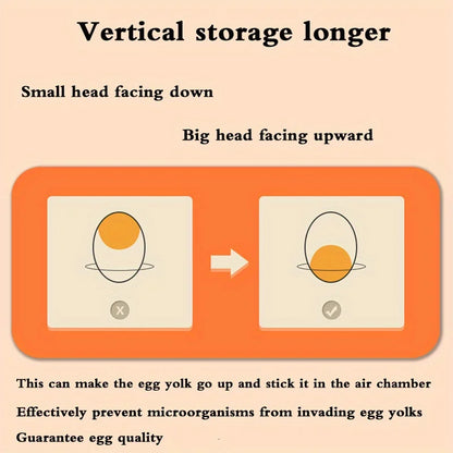 Double Layer Refrigerator Egg Storage Box